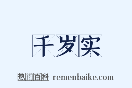 千岁实是什么意思的图片